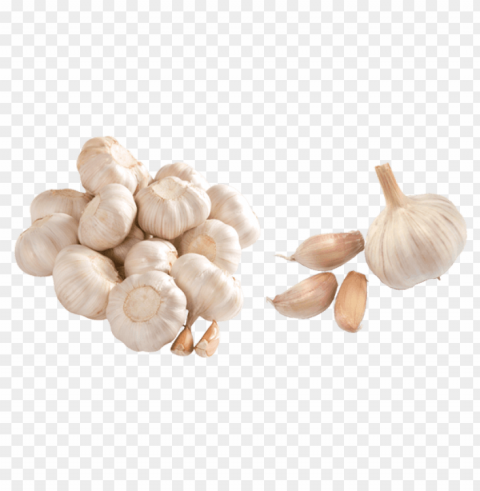 Garlic PNG Artwork With Transparency