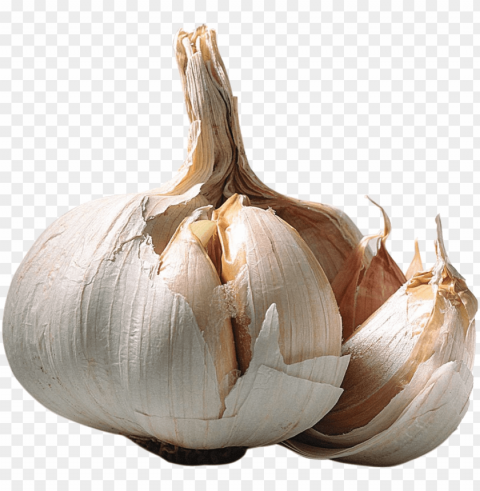 garlic PNG design elements