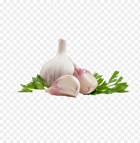 garlic PNG file with alpha