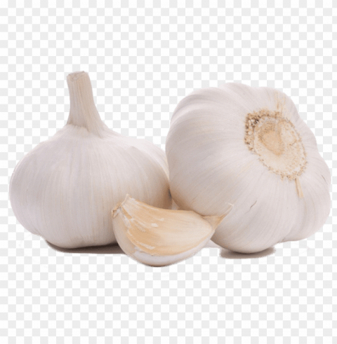 garlic PNG file with no watermark