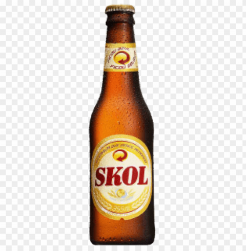 garrafa de skol Isolated PNG on Transparent Background