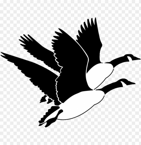 geese PNG images with alpha mask