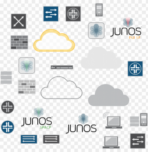 general icons - juniper icon PNG for blog use