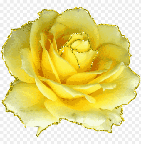 gifs et tubes fleurs - happy mothers day yellow roses Transparent Background PNG Isolated Character