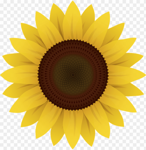 girasol em Transparent PNG artworks for creativity PNG transparent with Clear Background ID 7f0d18fd