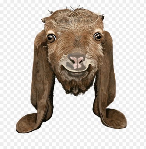 goat PNG transparency images