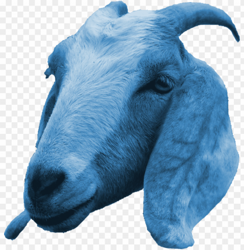 goat PNG transparent graphics comprehensive assortment