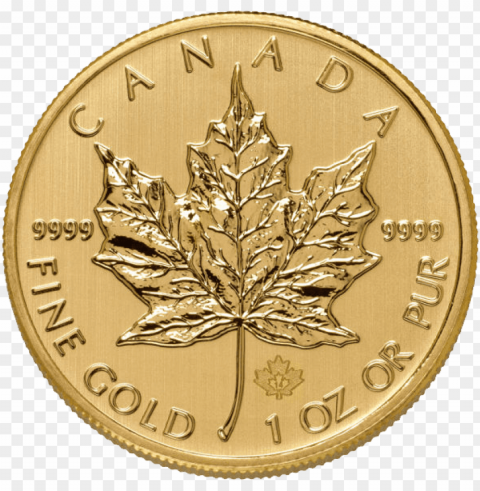 gold coin Isolated PNG Element with Clear Transparency