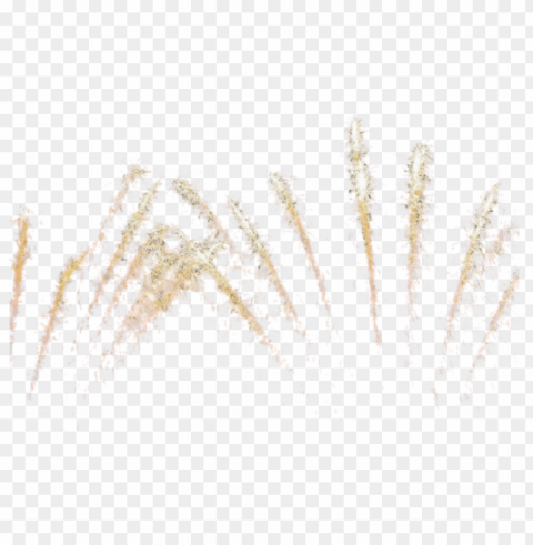 gold fireworks PNG transparent stock images
