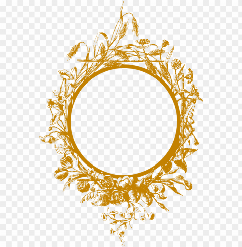 gold floral border Isolated Graphic Element in Transparent PNG