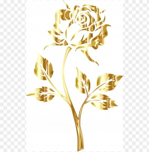 gold floral border Isolated Graphic on Clear Background PNG