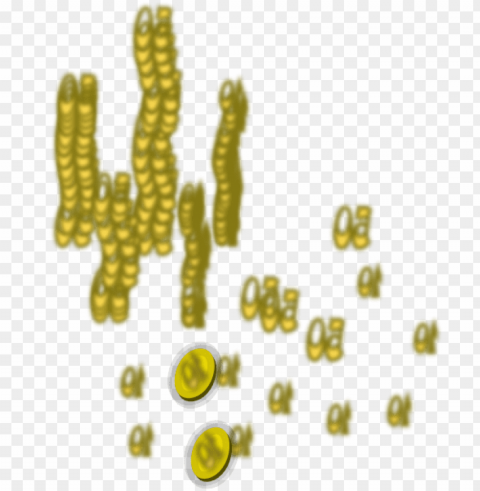 gold money chain Isolated Item with Transparent Background PNG