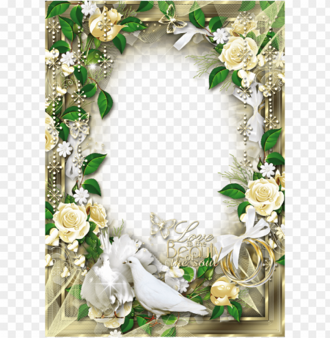 Gold Wedding Frames HighQuality PNG Isolated On Transparent Background