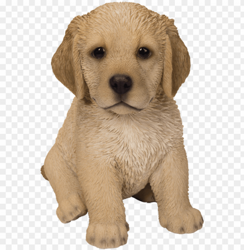 golden retriever PNG Graphic Isolated on Clear Backdrop
