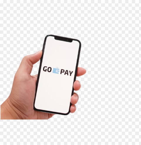 GoPay logo image Isolated Object with Transparent Background in PNG