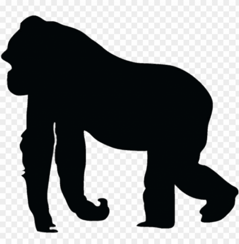 gorilla PNG images without BG