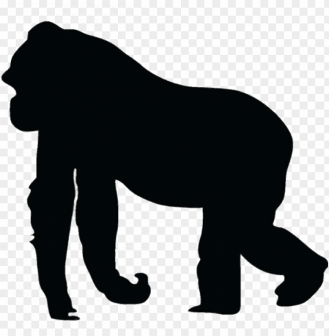 Gorilla PNG Images Without BG