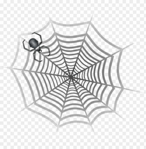 gray spider in web PNG for t-shirt designs PNG transparent with Clear Background ID d723deb9