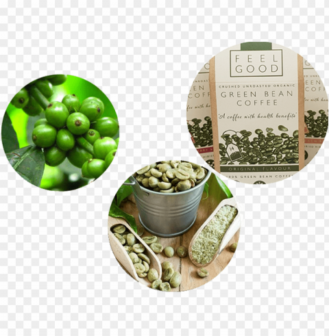 green coffee beans banner Transparent PNG images extensive variety