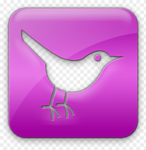 Green Twitter Bird PNG Transparent Graphic