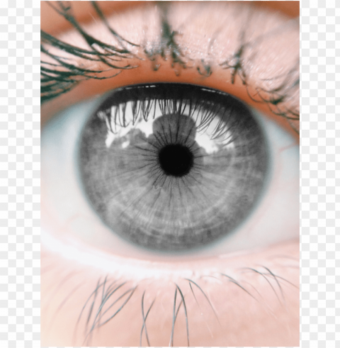 grey eyes Transparent PNG graphics assortment