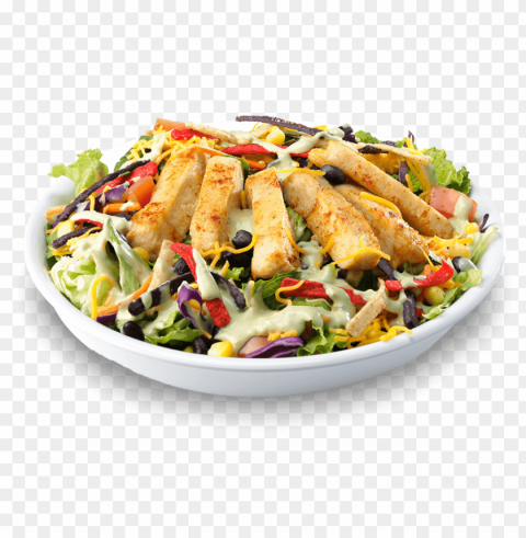 grilled chicken HighResolution Transparent PNG Isolated Graphic