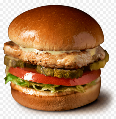 grilled chicken PNG Image with Transparent Background Isolation