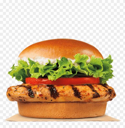 Grilled Chicken PNG Images With Alpha Channel Diverse Selection