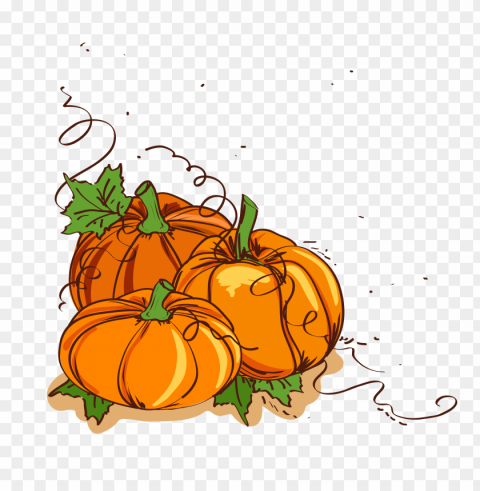 group of pumpkins with leaves vector clipart PNG Isolated Illustration with Clear Background