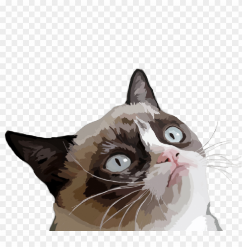 grumpy cat vector illustration Transparent Background Isolated PNG Art