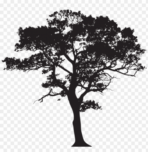 gum tree silhouette Isolated Element on HighQuality PNG