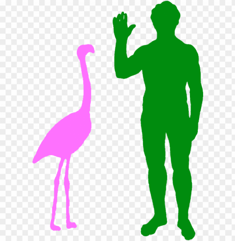 haast eagle size comparison PNG images for editing