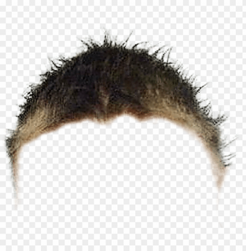 hair - brendan fraser just hair Isolated Character in Clear Transparent PNG