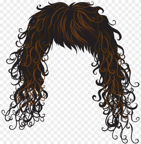 hair clipart free download clip art on - vector hair Transparent Background Isolation in PNG Image