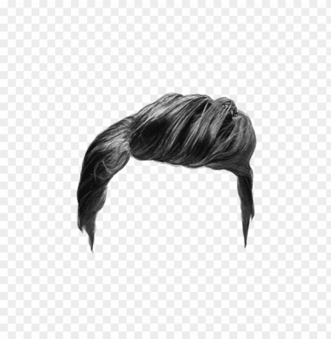 hairstyle PNG without watermark free