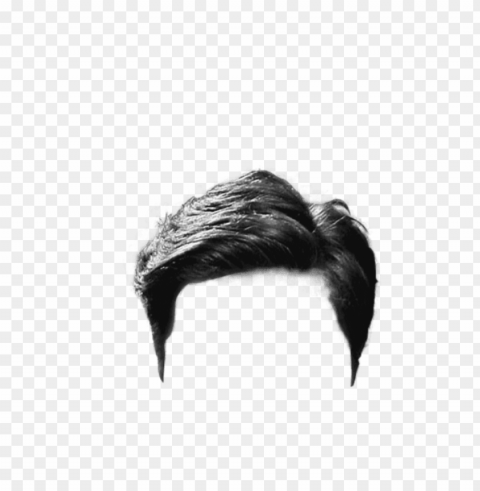 hairstyle Transparent Background Isolated PNG Character