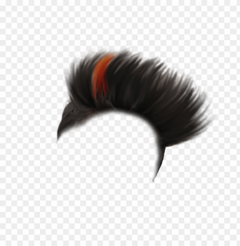 hairstyle Clear PNG image
