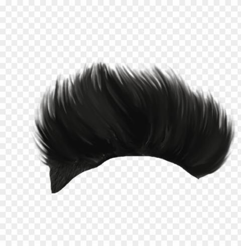 hairstyle ClearCut Background PNG Isolated Element