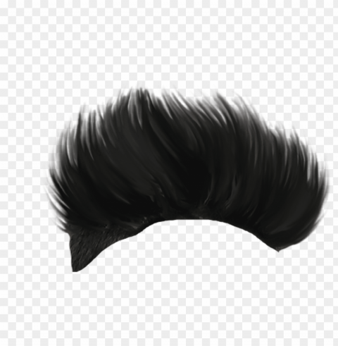 Hairstyle ClearCut Background PNG Isolated Element