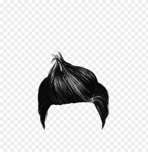 hairstyle Isolated PNG Item in HighResolution