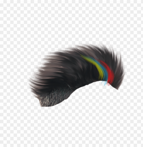 hairstyle Isolated Subject in Transparent PNG