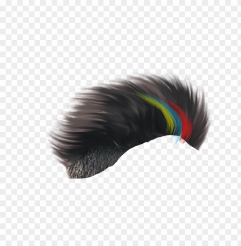 Hairstyle Isolated Subject In Transparent PNG