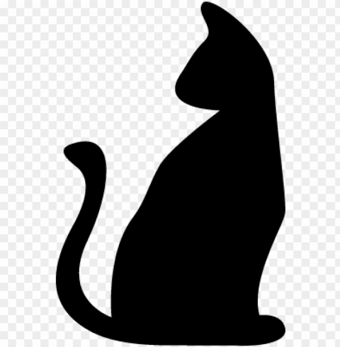halloween black cat vector - halloween black cat Transparent PNG Isolated Item with Detail