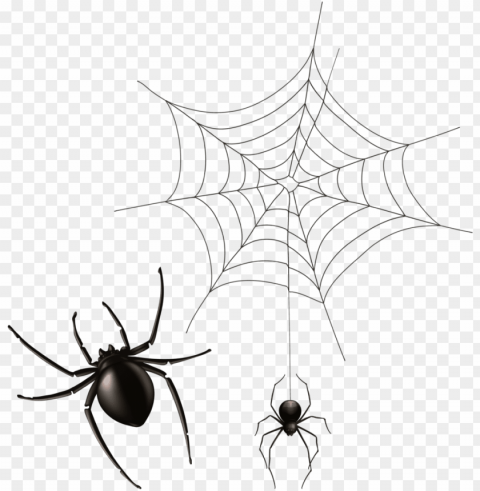 halloween cobwebs clipart 7 spider web bear - painted spider PNG transparent pictures for projects