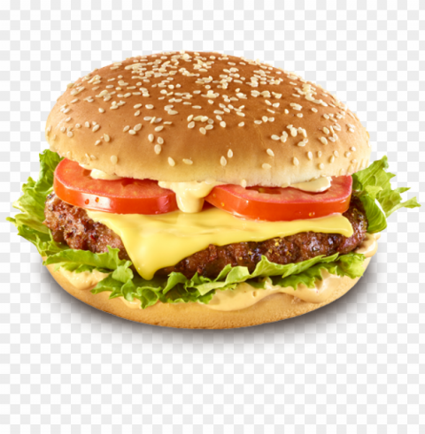 hamburger veggie PNG with clear background extensive compilation