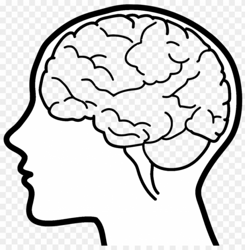 hand drawn brain images - your brain and you what neuroscience means HighResolution Transparent PNG Isolated Element