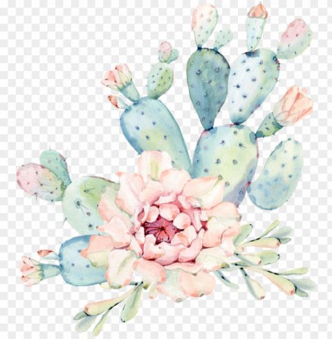 $ - hand drawn watercolor saguaro cactus round mosue pad PNG with clear background extensive compilation