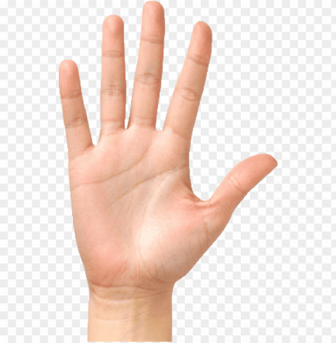 hand - female hand Isolated Subject on HighResolution Transparent PNG