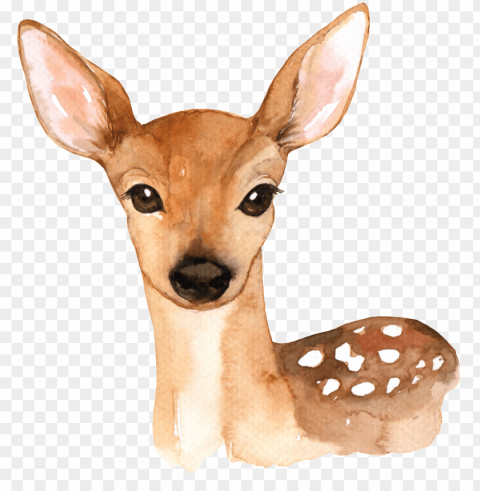 hand painted a cute deer transparent - woodland animals printables free PNG graphics with alpha channel pack
