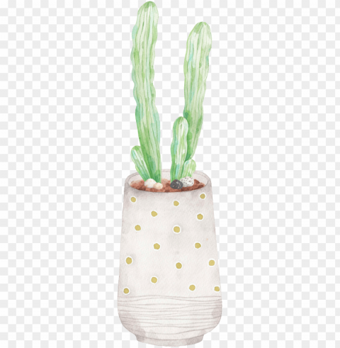 hand painted a plate of dragon god - cactus Isolated Subject on HighResolution Transparent PNG